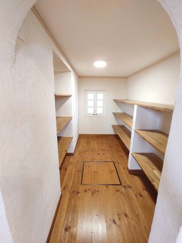 �É����x���S���������q�̒��È�ˌ��Ă̎��[