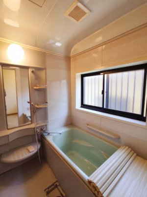 �É����O���s�J�c �̒��È�ˌ��Ă̗���