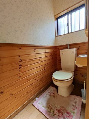 �É����O���s�J�c �̒��È�ˌ��Ẵg�C��