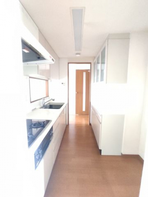 �É������Îs����F �̒��Ã}���V�����̃L�b�`��