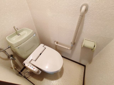 �É������Îs�剪 �̒��È�ˌ��Ẵg�C��