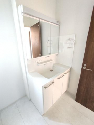 �É����O���s�J�c �̒��È�ˌ��Ă̐��ʑ�E���ʏ�