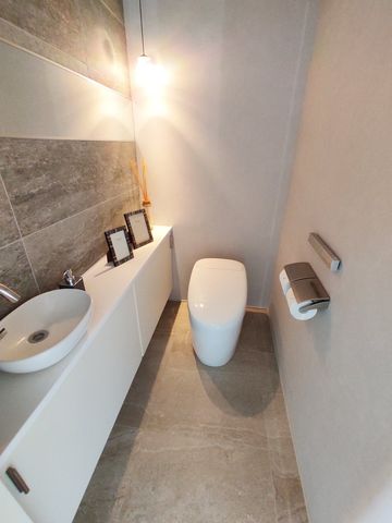 �É����O���s�ˌ��V�c �̒��È�ˌ��Ẵg�C��