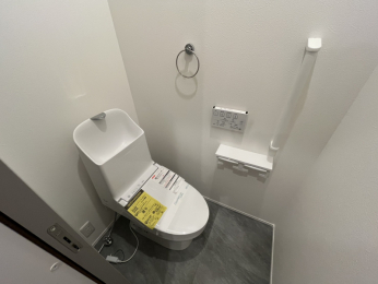 �É�������s���쎚�R����1561-13�̐V�z��ˌ��Ẵg�C��