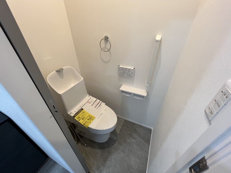 �É�������s���쎚�R����1561-13�̐V�z��ˌ��Ẵg�C��