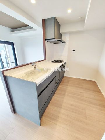 �É������Îs�剪 �̒��Ã}���V�����̃L�b�`��