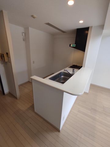 �É������Îs�V��c�� �̒��Ã}���V�����̃L�b�`��