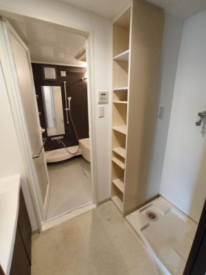 �É������Îs�V��c�� �̒��Ã}���V�����̐��ʑ�E���ʏ�