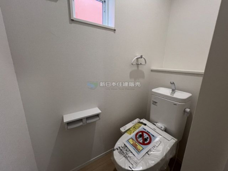 �É����x���S���������q�̐V�z��ˌ��Ẵg�C��