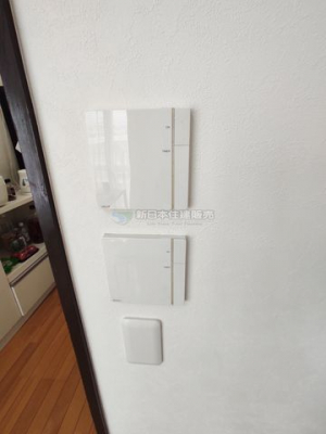 �É������Îs�剪 �̒��Ã}���V�����̂��̑�
