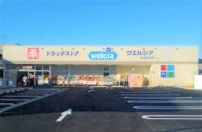 �É������Îs���͌��� �̐V�z��ˌ��Ă̎��ӊ�