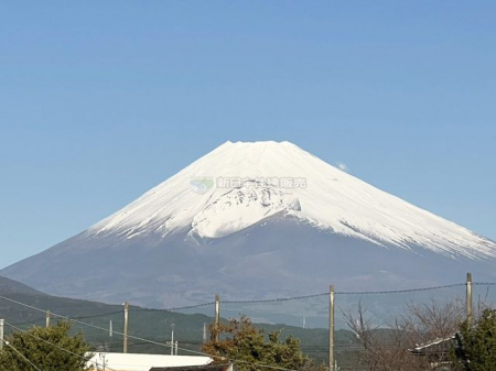 �É�������s���� �̒��È�ˌ��Ă̂��̑�