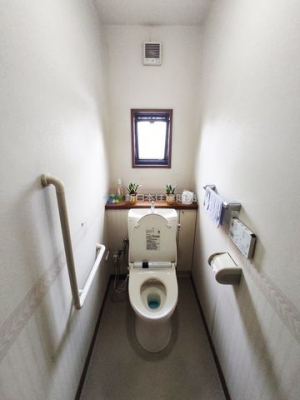 �É�������s���� �̒��È�ˌ��Ẵg�C��