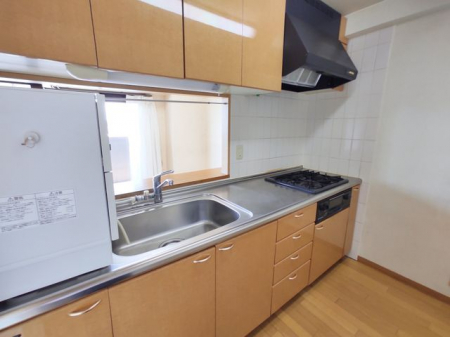 �É������Îs����F �̒��Ã}���V�����̃L�b�`��