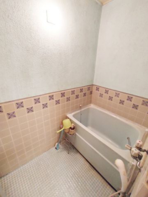 �É������Îs������ �̒��Ã}���V�����̗���