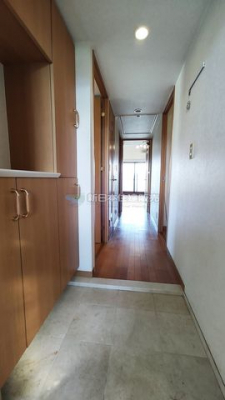 �É����O���s�����u �̒��Ã}���V�����̂��̑�