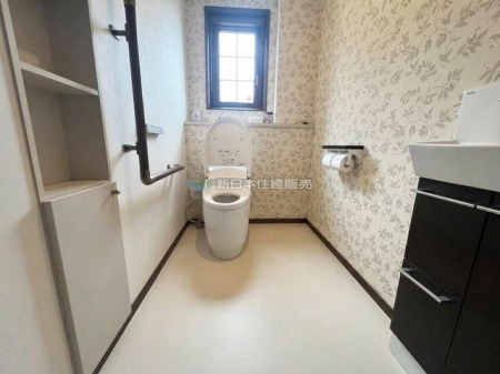 �É����ɓ��̍��s�ϔV�� �̒��È�ˌ��Ẵg�C��