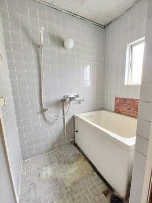 �É������Îs�剪 �̒��Ã}���V�����̗���