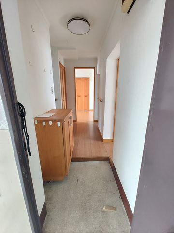 �É������Îs�剪 �̒��Ã}���V�����̃o���R�j�[