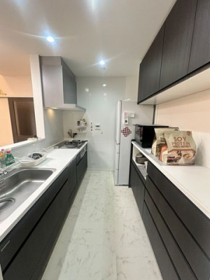 �É������Îs������ �̒��È�ˌ��ẴL�b�`��