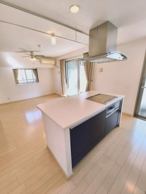 �É������Îs������ �̒��Ã}���V�����̃L�b�`��